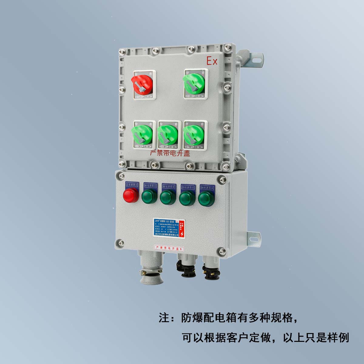 BXM(D)58 系列防爆照明(動(dòng)力)配電箱 (ⅡB、ⅡC、DIP)